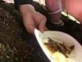 のら糞4 青山はるな サンプル画像 10