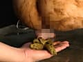 糞接吻 草刈もも サンプル画像 8