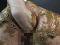 顔騎糞 後藤結愛 サンプル画像 9