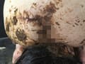 顔騎糞 月緒 サンプル画像 9