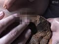 背徳の親子糞 鮎原いつき サンプル画像 9