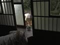 思春期糞 未発達姉妹の○年排泄調● サンプル画像 7