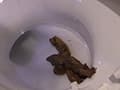 ～私生活うんこ自画撮り～うらんの変態日常動画 サンプル画像 4