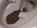 ～私生活うんこ自画撮り～うらんの変態日常動画 サンプル画像 9