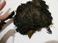 産まれた時からアブノーマル 衣織の日常 サンプル画像 10