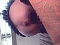 自然便大辞典2 サンプル画像 4
