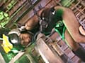 HEROINE排泄○問17 サンプル画像 9