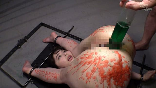 Anal Device BondageXX 鉄拘束アナル拷問 晶エリー サンプル画像 19