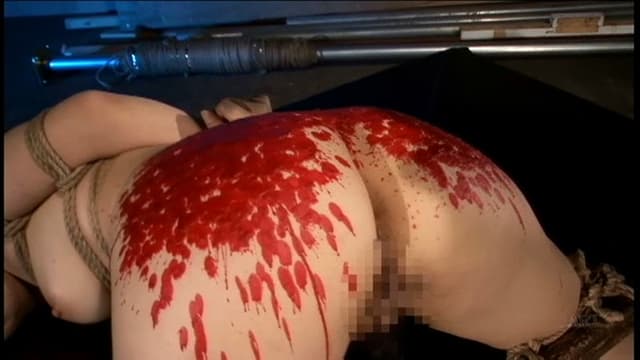 堕天使せいら サンプル画像 15