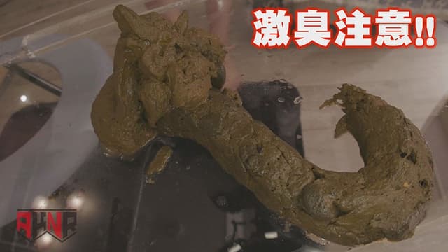 今日たくさんウンチでるかな･･･ 初瀬かのん サンプル画像 10