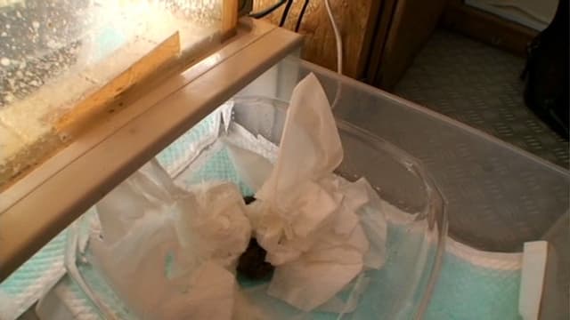 プレミア美人うんち サンプル画像 20