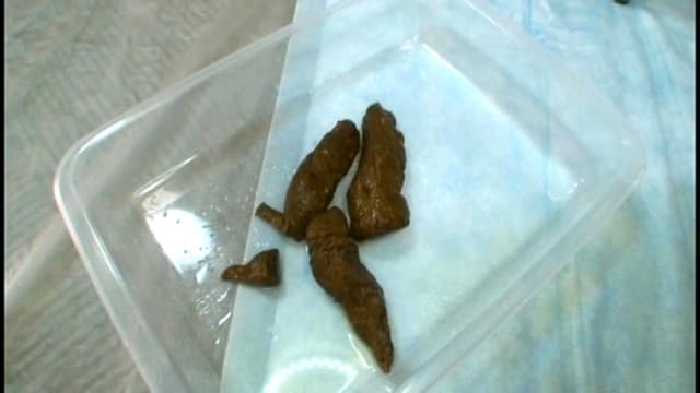 素人うんこだらけSP まさかの100名大脱糞 サンプル画像 20