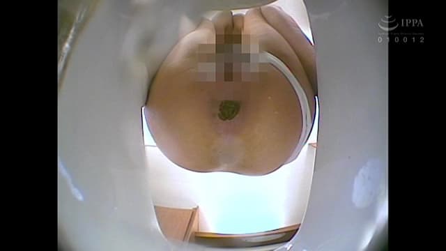 101人うんち 下から覗く和式便所 蠢く肛門から極太便…全編、真下からの排泄シーンのみ！ サンプル画像 9