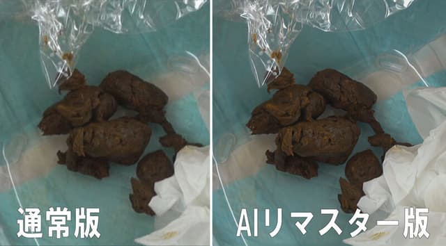 【AIリマスター版】花の女子大生うんちプレミア ミスキャンパス2013 サンプル画像 5