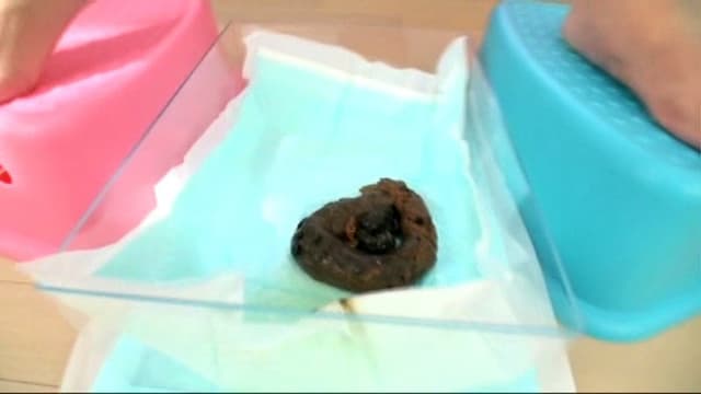 ウンチ買取堂　アナタのうんち１００ｇ１０００円で売って下さい！ サンプル画像 11
