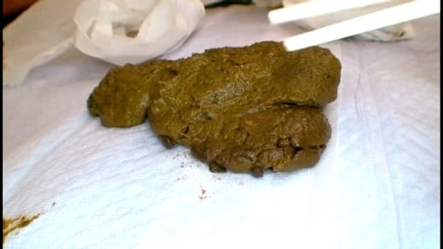 素人うんこだらけ 5 激盛り 素人娘大収録10名 サンプル画像 3