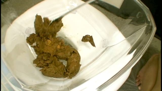 素人うんこだらけ 7 素人娘大収録10名 サンプル画像 7