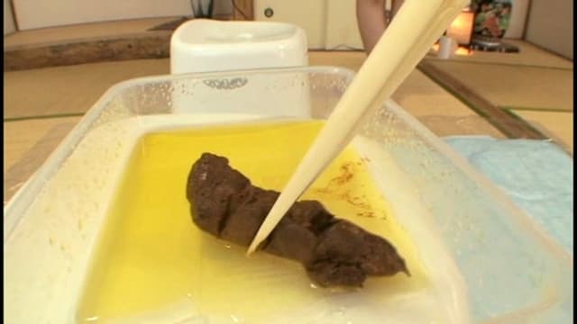 素人うんこだらけ 9 素人娘大収録10名 サンプル画像 16