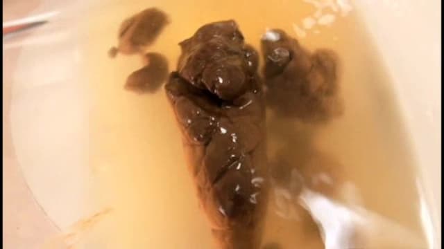 素人うんち倶楽部4 狂った会員達の社交場 サンプル画像 3