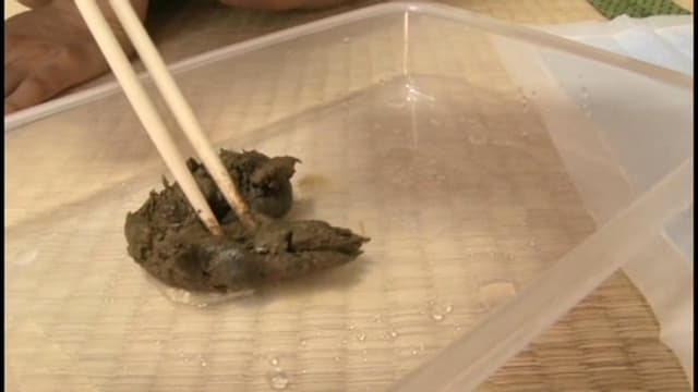 素人うんち倶楽部4 狂った会員達の社交場 サンプル画像 7