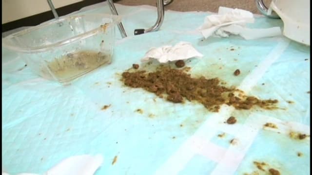 素人うんち倶楽部6 一線を超えた大人の社交場 サンプル画像 7