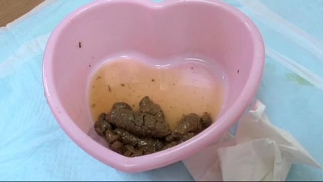 排泄解体新書4 サンプル画像 10