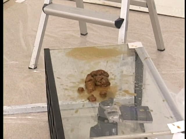 糞尿ベスト サンプル画像 9