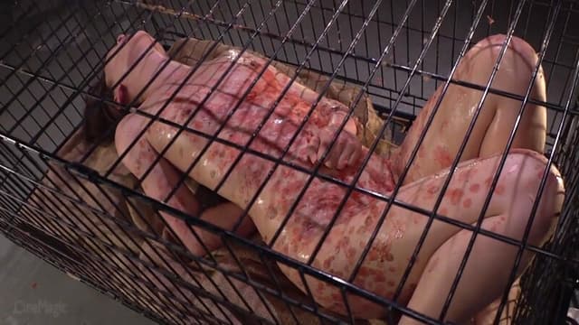 牝檻収監 飼い慣らされた二匹のマゾ犬 サンプル画像 5