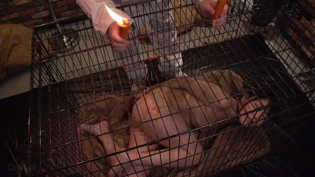牝檻収監 肛交肉便器マゾ犬狩り ゆうきすず サンプル画像 2