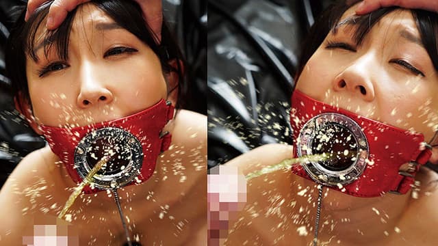 真正マゾメス妻に変態インストール覚醒ダッチワイフ 佐藤貴子 サンプル画像 6