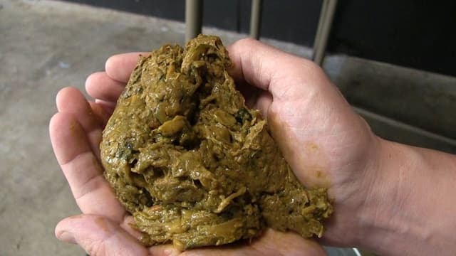 雌糞生産工場 ～自然便主義～ サンプル画像 17
