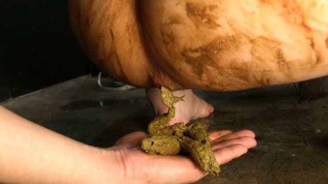 糞接吻 サンプル画像 3