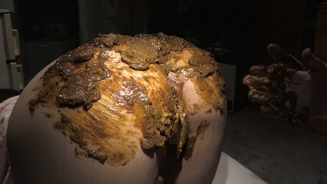 寝糞 安藤瞳 サンプル画像 16