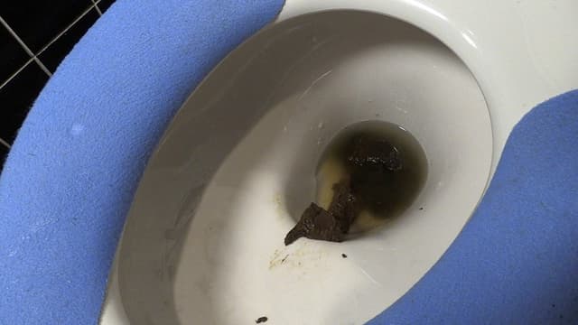 お尻の穴の臭いを嗅がないで… 大城さおり サンプル画像 7