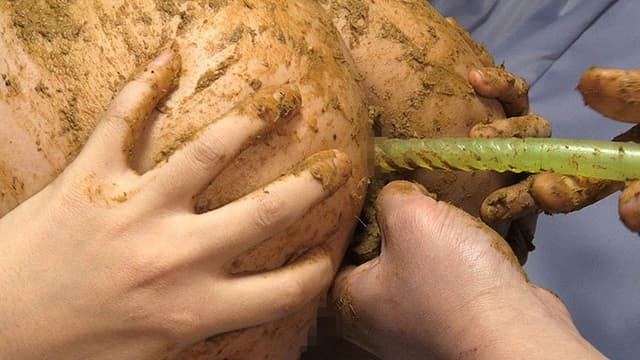 あなたのお家に高沢沙耶がやってくる 全国うんこ紀行 素人宅スカトロ直行便 サンプル画像 18
