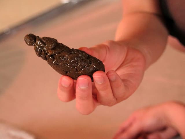 人間崩壊シリーズ30 ゲロスカ痴女 立花リク サンプル画像 9