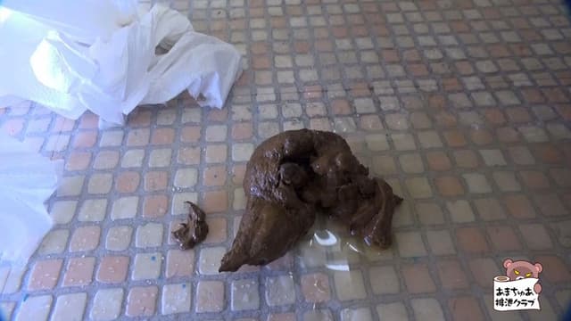 友達前で恥らいうんち サンプル画像 4