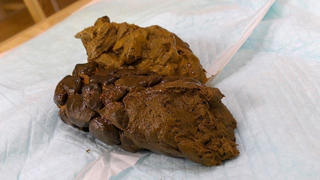 排泄嬢・みなみ サンプル画像 6