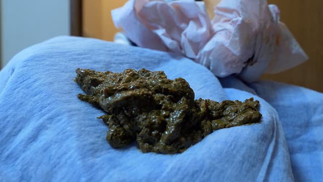 おならとうんこははなちゃんにまかせろ 三浦はな サンプル画像 11