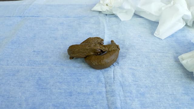 排泄の宴 三浦はな サンプル画像 14
