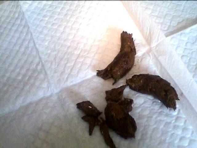 変態体育教員のいちじく健康法 サンプル画像 16