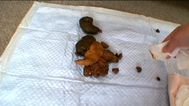 お姫様は毎日が巨太便 サンプル画像 9