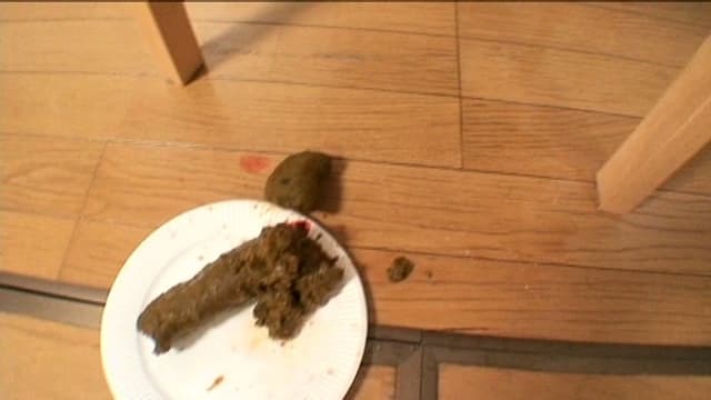 下品に豪快大脱糞！実家で絶叫レースクイーン サンプル画像 15