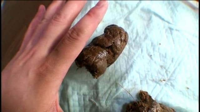 田舎の快便女子大生 地味だけど可愛い激臭うんち日記 サンプル画像 11