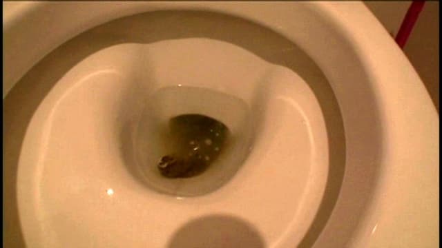 カラオケ店のデカ尻お姉さんの毎日のぶりぶりウンチ サンプル画像 20