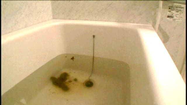 カラオケ店のデカ尻お姉さんの毎日のぶりぶりウンチ サンプル画像 8
