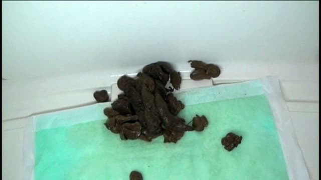 オタク女子大生の大量脱糞と日々の激臭アナル遊び サンプル画像 5