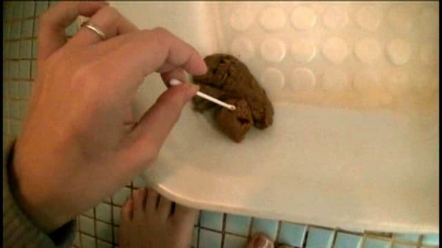 二十歳のウンチ生活 大人になってからの排泄の記録 サンプル画像 4