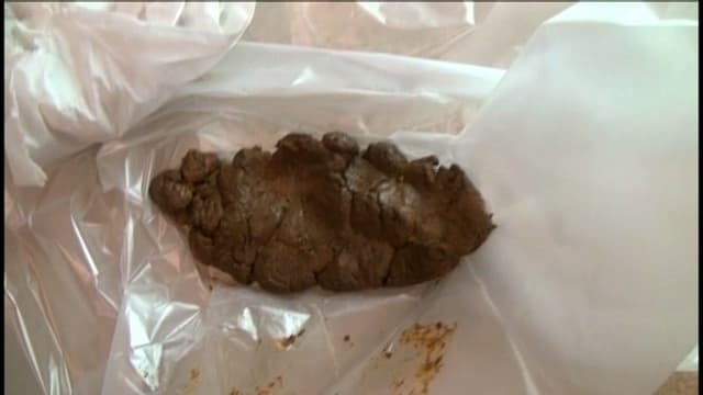 片付けられない女子大生の汚部屋と激臭太便生活 サンプル画像 16