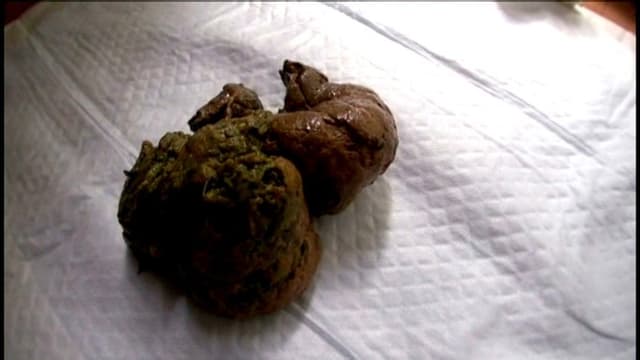 小中学校ずーと学級委員！育ちの良いお嬢様の臭ーい健康大便 サンプル画像 16